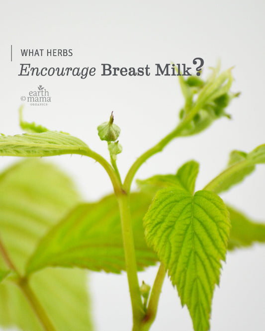 What Herbs Encourage Breast Milk?