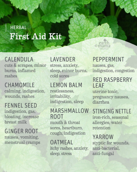 Earth Mama’s Herbal First Aid Kit