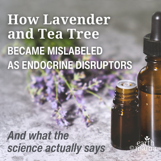 How Lavender and Tea Tree Became Mislabeled as Endocrine Disruptors (Updated November 2022)