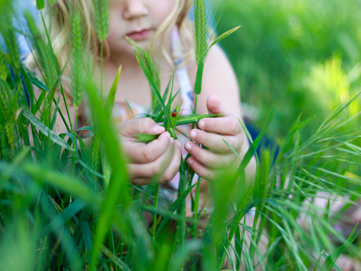 Summer Tool Kit | Earth Mama