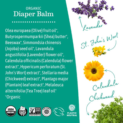 Organic Diaper Balm Ingredients