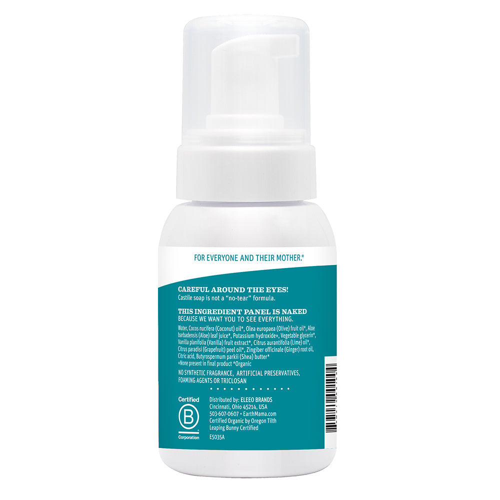 Ginger Fresh Body Wash